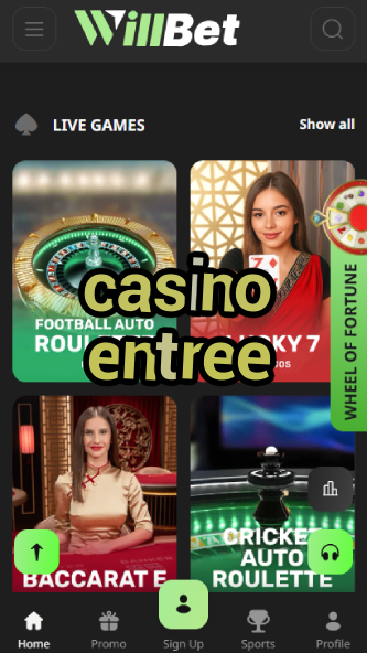 Casino Entree - Casino Entrance Specials-www.bdqngd.com
